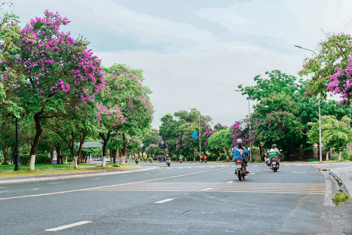 Lush boulevard with blooming trees and motorcycles in Vietnam, vibrant summer scene.