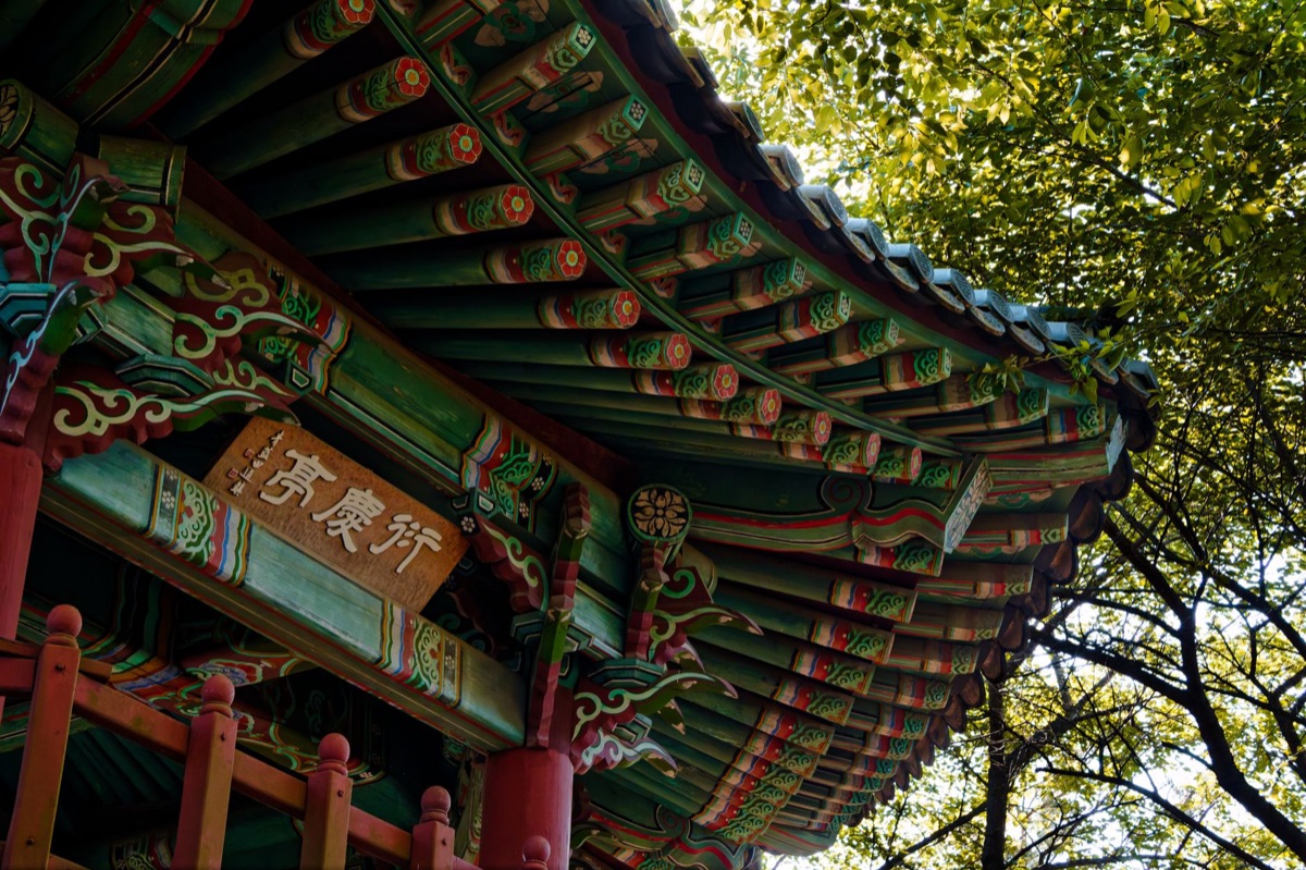 在首爾傳統市場裡，一名旅客手持印有折扣標籤的觀光票，背景是熙熙攘攘的市場與攤位。